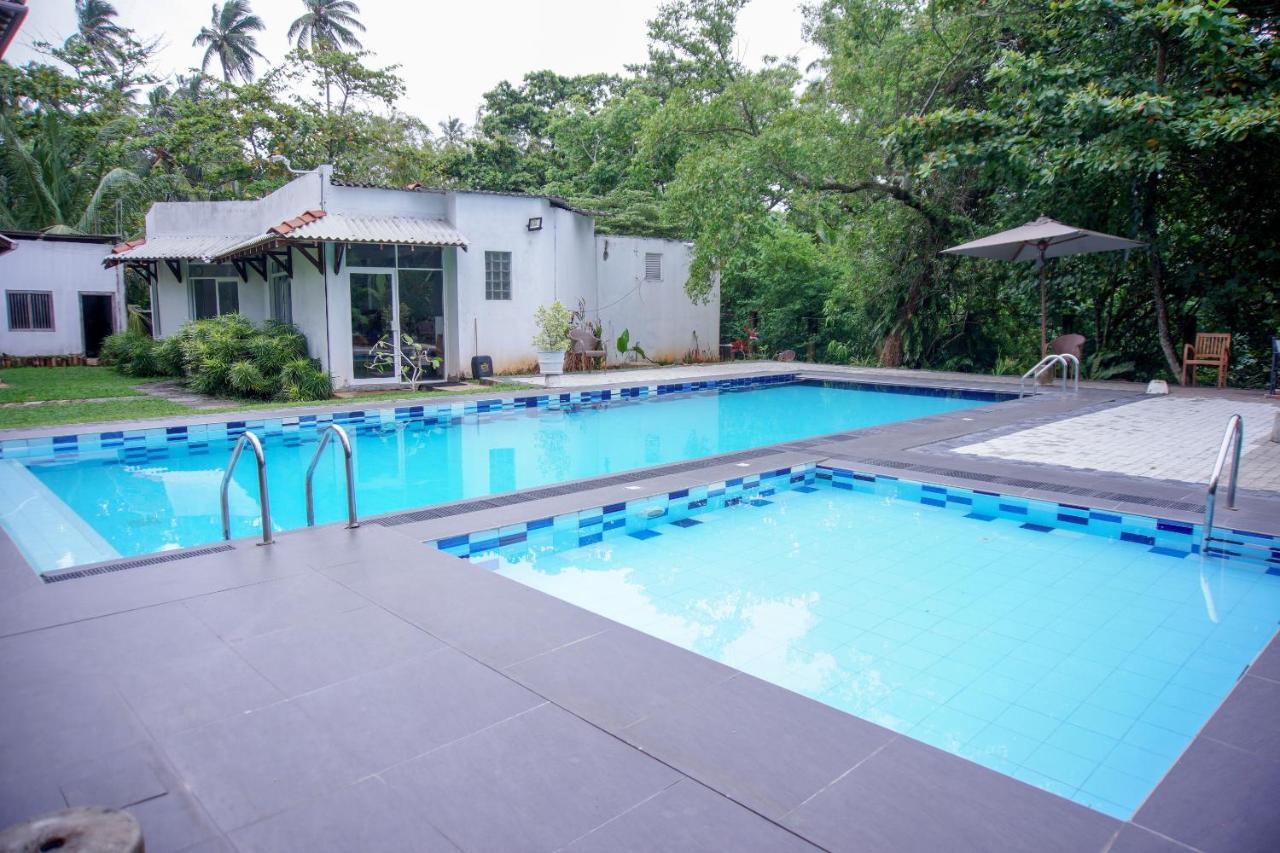 Hotel Blue Fox Hikkaduwa Esterno foto