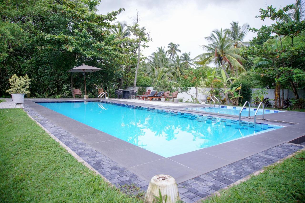 Hotel Blue Fox Hikkaduwa Esterno foto